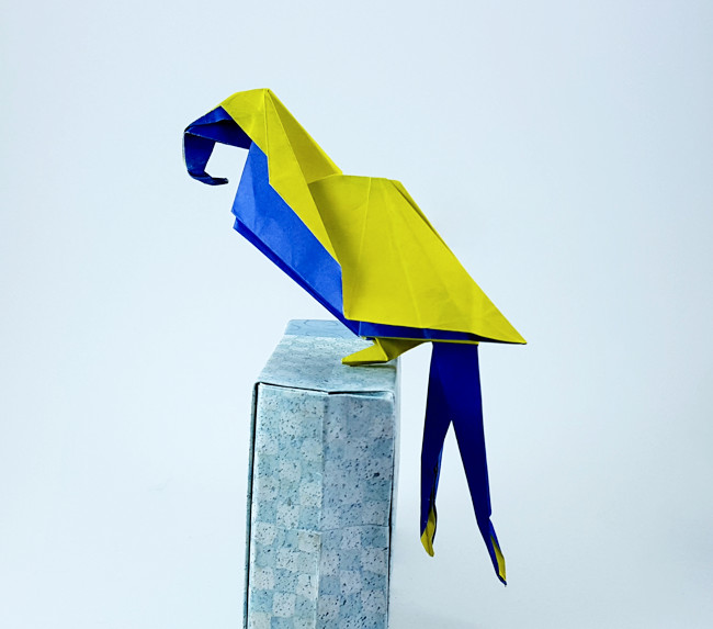 Origami Macaw by Ligia Montoya folded by Gilad Aharoni