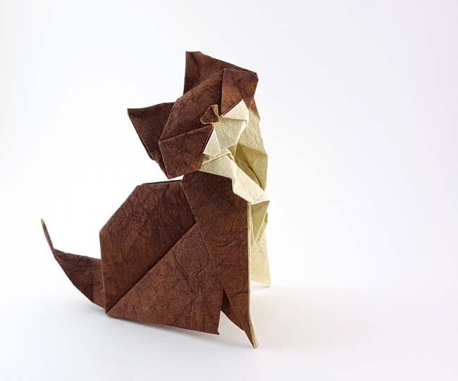 Origami Maine coon by Roman Diaz folded by Gilad Aharoni