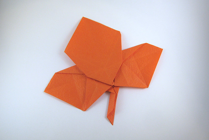 Origami Maple leaf by Peter Engel folded by Gilad Aharoni