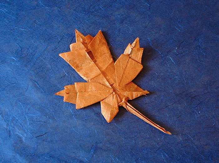 Origami Maple leaf by Brian Chan folded by Gilad Aharoni
