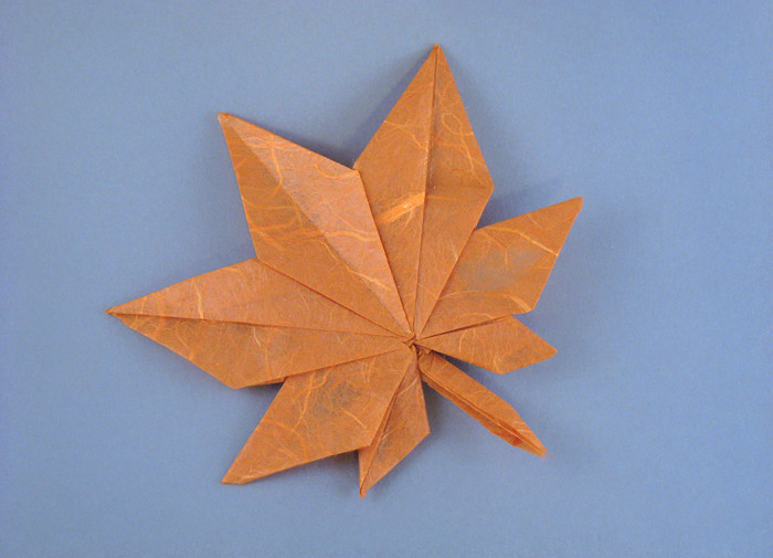 Origami Maple leaf by Seishi Kasumi folded by Gilad Aharoni