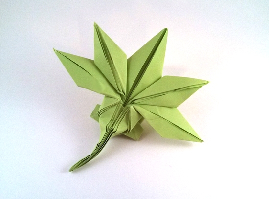 Origami Maple leaf by Jun Maekawa folded by Gilad Aharoni