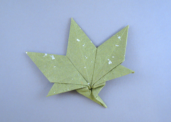 Origami Maple leaf by Roman Diaz folded by Gilad Aharoni