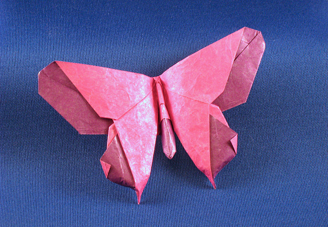 Origami Butterfly - Michael Shall by Michael G. LaFosse folded by Gilad Aharoni