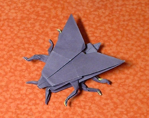 Origami Moth by John Montroll folded by Gilad Aharoni