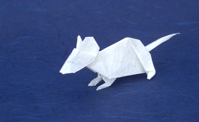 Origami Mouse by John Montroll folded by Gilad Aharoni