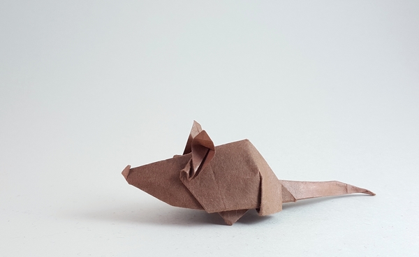 Origami Mouse by Angel Morollon Guallar folded by Gilad Aharoni