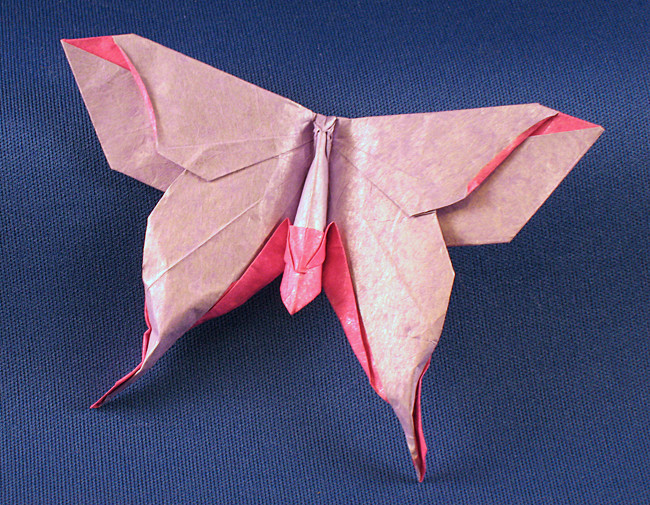 Origami Moth - Mudarri Luna by Michael G. LaFosse folded by Gilad Aharoni