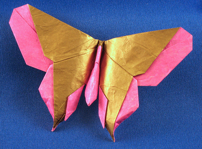 Origami Butterfly - Nolan by Michael G. LaFosse folded by Gilad Aharoni