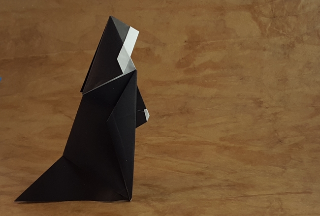 Origami Novice by Robert Harbin folded by Gilad Aharoni