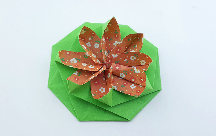 Origami Nymphaea by Meenakshi Mukerji folded by Gilad Aharoni