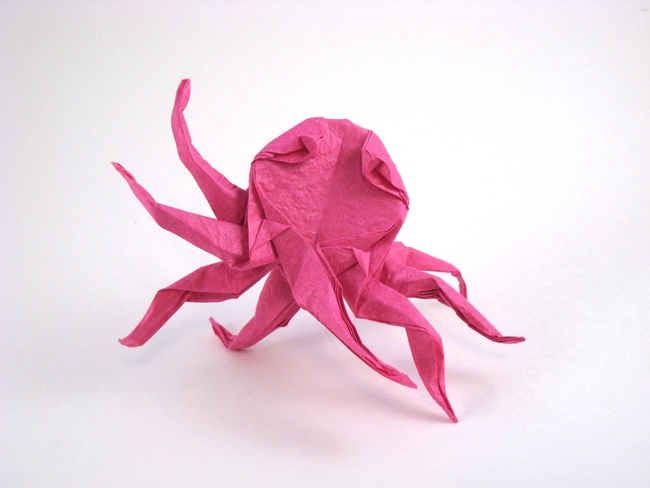 Origami Octopus by John Montroll folded by Gilad Aharoni
