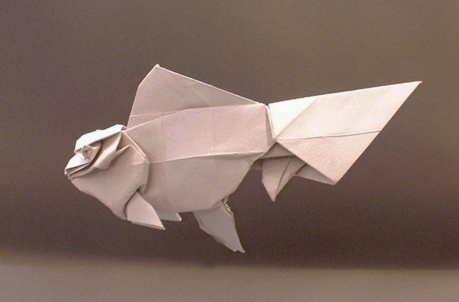 Origami Oranda by Ronald Koh folded by Gilad Aharoni