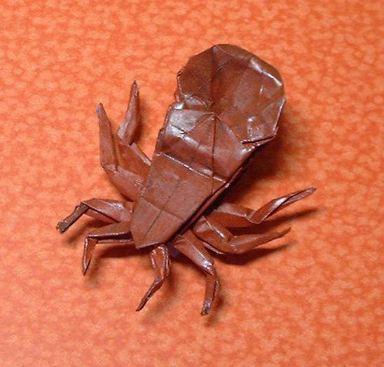 Origami Spider - orb weaver by Robert J. Lang folded by Gilad Aharoni
