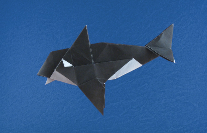 Origami Orca by Fernando Gilgado Gomez folded by Gilad Aharoni