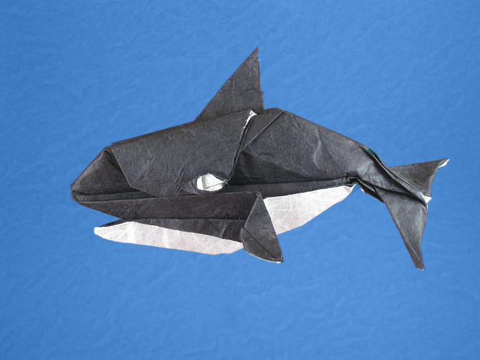 Origami Orca by Robert J. Lang folded by Gilad Aharoni