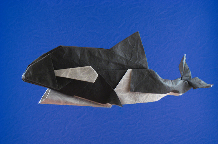 Origami Orca by Otani Tooru folded by Gilad Aharoni