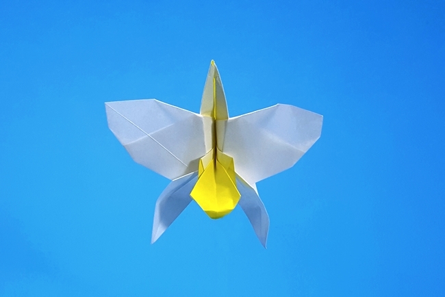 Origami Wedding orchid by Michael G. LaFosse folded by Gilad Aharoni