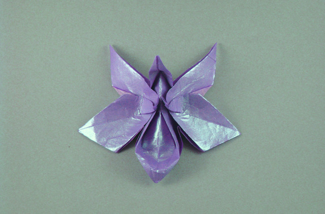 Origami Munich orchid and leaf by Michael G. LaFosse folded by Gilad Aharoni
