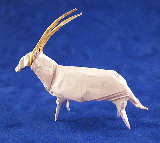 Origami Arabian Oryx by Ronald Koh folded by Gilad Aharoni