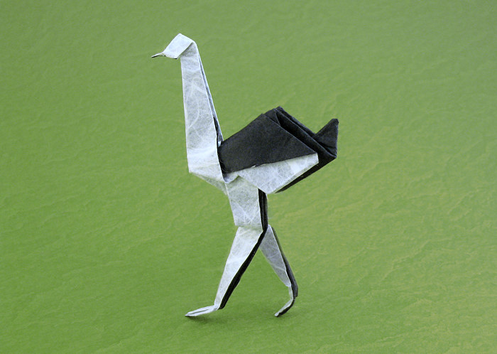 Origami Ostrich by Ryo Aoki folded by Gilad Aharoni