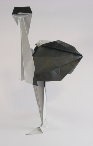 Origami Ostrich by Taichiro Hasegawa folded by Gilad Aharoni