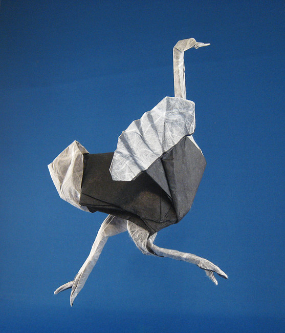 Origami Ostrich by Quentin Trollip folded by Gilad Aharoni