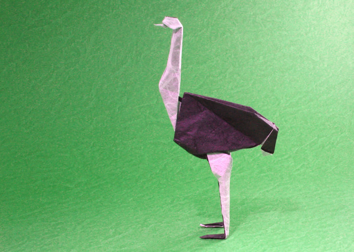 Origami Ostrich by Pasquale d'Auria folded by Gilad Aharoni