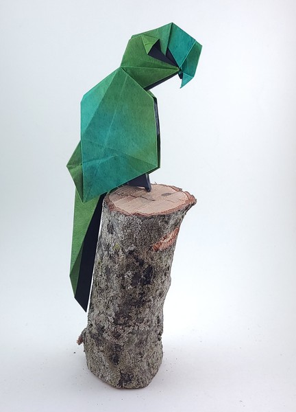 Origami Parrot by Oriol Esteve folded by Gilad Aharoni