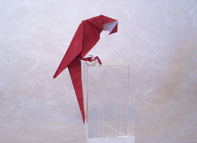 Origami Scarlet macau by Ashimura Shun'ichi folded by Gilad Aharoni