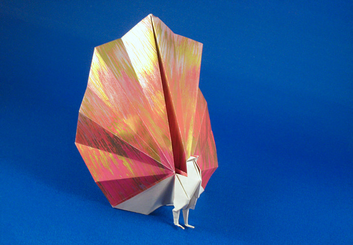 Origami Peacock 2 by Edwin Corrie folded by Gilad Aharoni