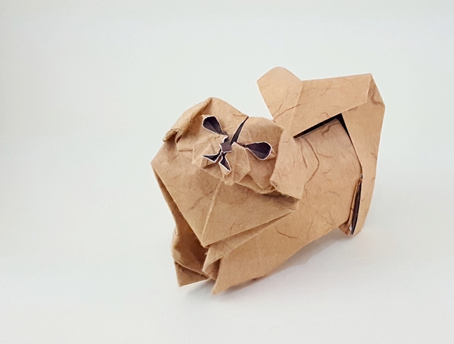 Origami Pekingese by Meng Weining (212moving) folded by Gilad Aharoni
