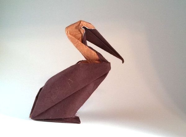 Origami Pelican by Hoang Tien Quyet folded by Gilad Aharoni