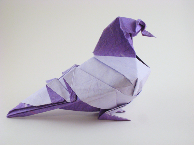 Origami Pigeon by Roman Diaz folded by Gilad Aharoni
