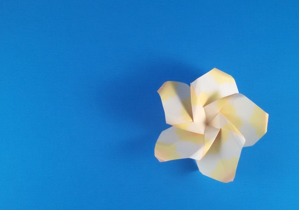 Origami Plumeria by Michael G. LaFosse folded by Gilad Aharoni