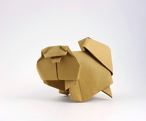 Origami Pomeranian by Yasuhiro Sano folded by Gilad Aharoni