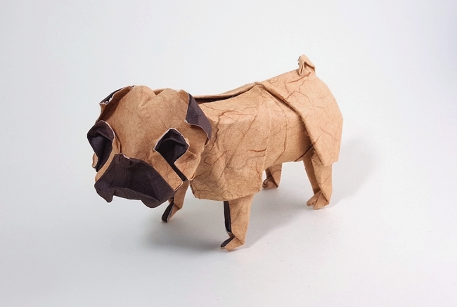 Origami Pug by Yoo Tae Yong folded by Gilad Aharoni