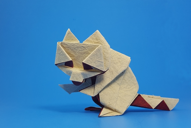 Origami Raccoon by Oriol Esteve folded by Gilad Aharoni