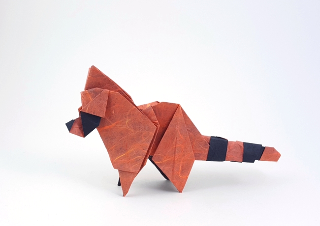 Origami Raccoon by Fumiaki Kawahata folded by Gilad Aharoni