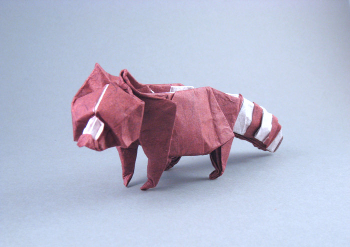 Origami Raccoon by John Montroll folded by Gilad Aharoni