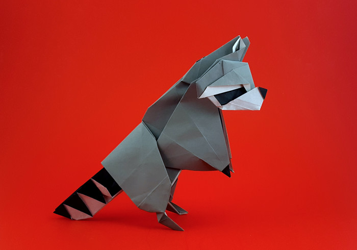 Origami Raccoon by Kyouhei Katsuta folded by Gilad Aharoni