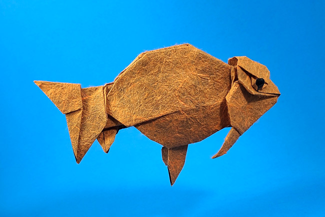 Origami Ranchu Ver. 2 by Ronald Koh folded by Gilad Aharoni