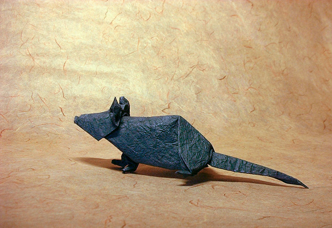 Origami Rat by John Montroll folded by Gilad Aharoni