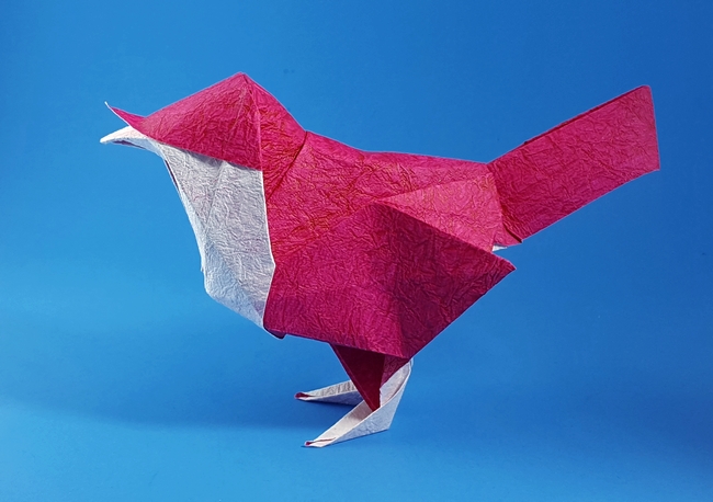 Origami Robin by David Brill folded by Gilad Aharoni