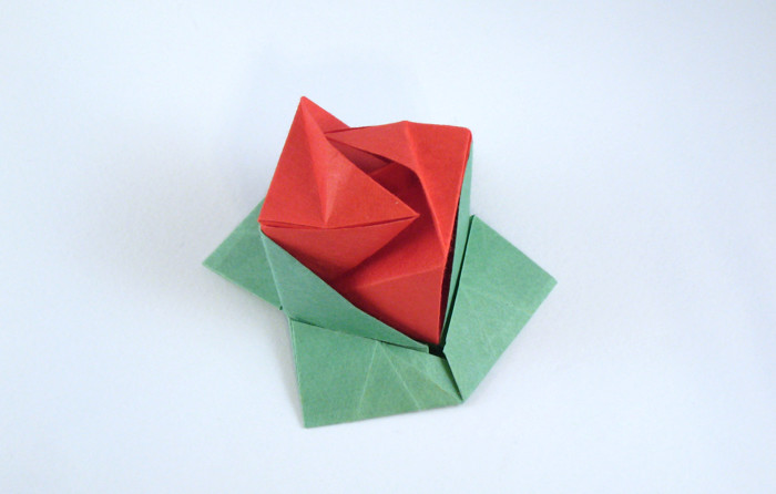 Origami Rose cube by Jun Maekawa folded by Gilad Aharoni