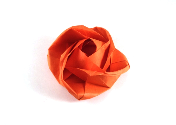 Origami Rose by Evi Binzinger folded by Gilad Aharoni