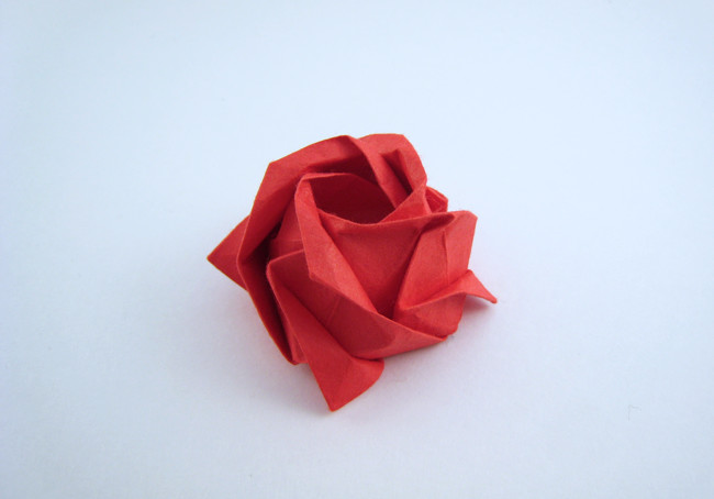 Origami Rose - classic by Toshikazu Kawasaki folded by Gilad Aharoni