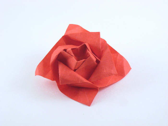 Origami Rose - Makoto by Makoto Yamaguchi folded by Gilad Aharoni