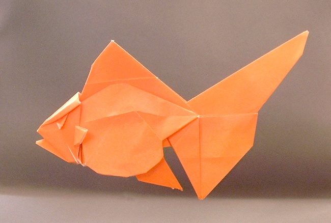 Origami Ryukin Ver. 2 by Ronald Koh folded by Gilad Aharoni
