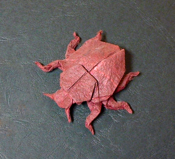 Origami Scavenger beetle by John Montroll folded by Gilad Aharoni